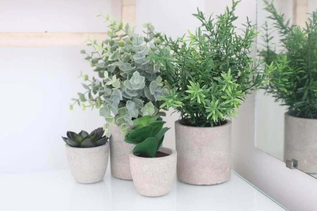 Spacious 1 Bedroom Apartment レスター エクステリア 写真